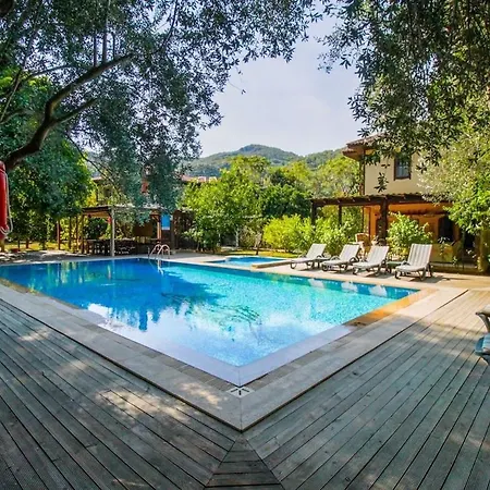 Villa With Private Pool In Marmaris *