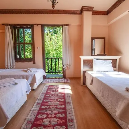 Villa With Private Pool In Marmaris *