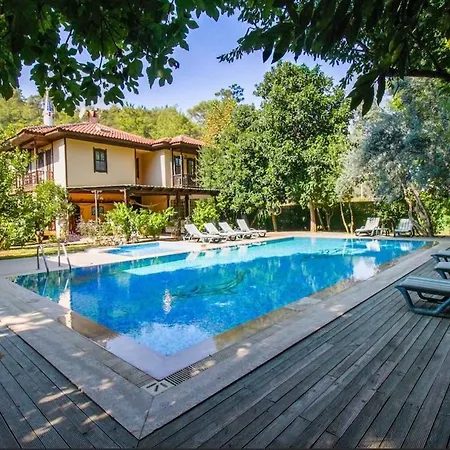 With Private Pool In Marmaris Villa Mugla